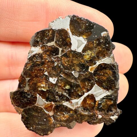 Meteorit Pallasit Sericho 22,8g / koncový řez – Keňa