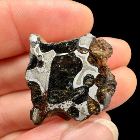 Meteorit Pallasit Sericho 12,1g / koncový řez – Keňa