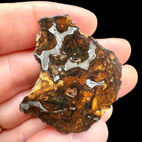 Meteorit Pallasit Sericho 19,2g / koncový řez – Keňa