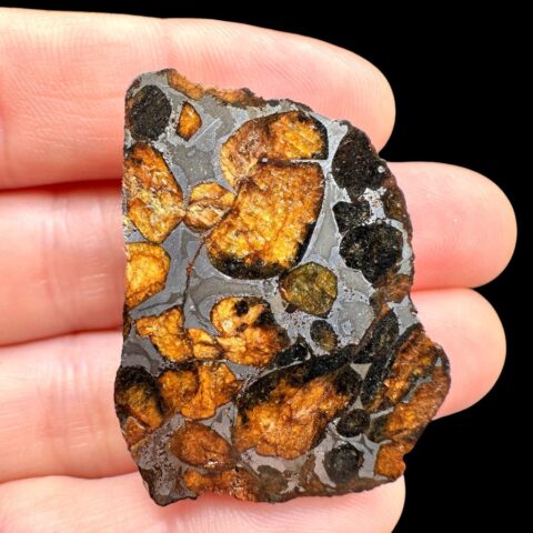 Meteorit Pallasit Sericho 20g / koncový řez – Keňa