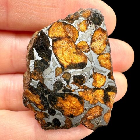 Meteorit Pallasit Sericho 21g / koncový řez – Keňa