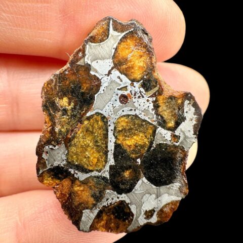 Meteorit Pallasit Sericho 18g / koncový řez – Keňa