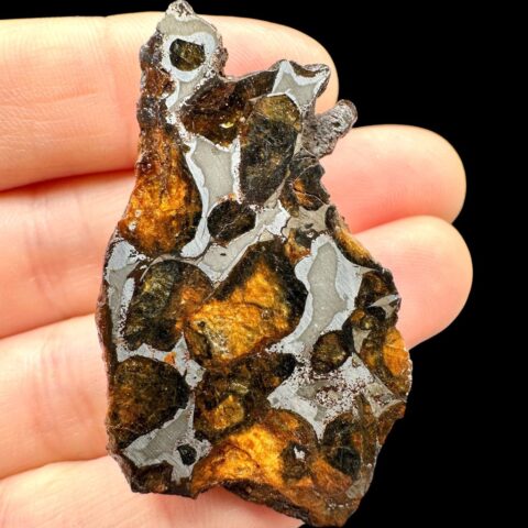 Meteorit Pallasit Sericho 22,3g / koncový řez – Keňa