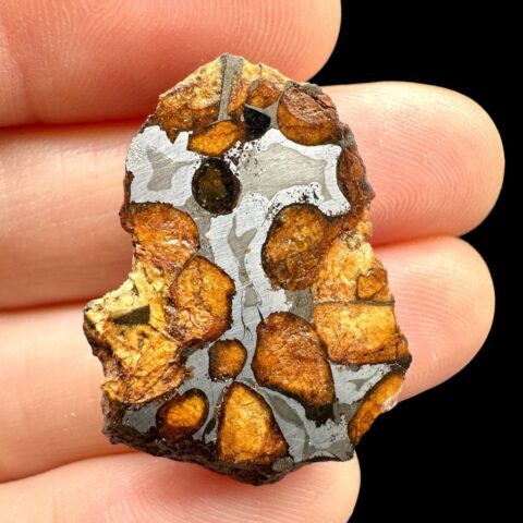 Meteorit Pallasit Sericho 6,1g / koncový řez – Keňa