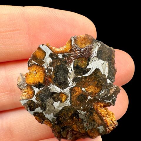 Meteorit Pallasit Sericho 8,7g / koncový řez – Keňa
