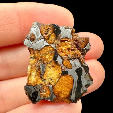 Meteorit Pallasit Sericho 9,4g / koncový řez – Keňa