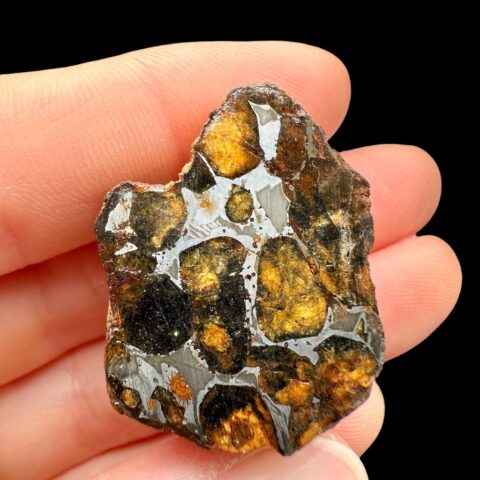 Meteorit Pallasit Sericho 20,7g / koncový řez – Keňa