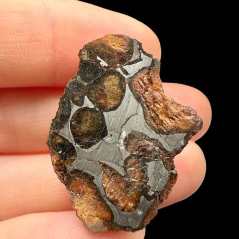Meteorit Pallasit Sericho 11,3g / koncový řez – Keňa