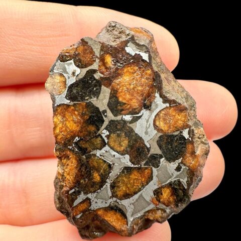 Meteorit Pallasit Sericho 22,6g / koncový řez – Keňa