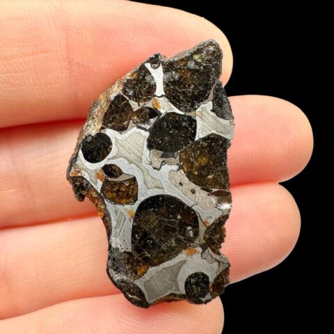 Meteorit Pallasit Sericho 9,6g / koncový řez – Keňa