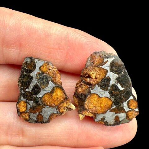 Meteorit Pallasit Sericho – pár 17,8g – Keňa