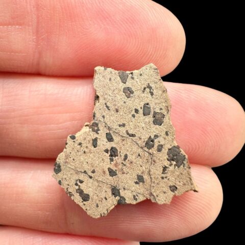 Meteorit Tarkint 001 – 1,3g – Mali