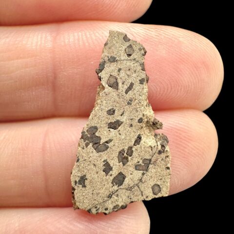 Meteorit Tarkint 001 – 0,8g – Mali